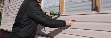 Best Siding Repair  in Brawley, CA